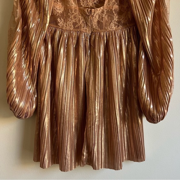 Sabina Musayev Laurel Dress in Rose Gold - Picture 13 of 16